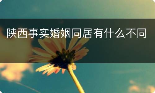 陕西事实婚姻同居有什么不同