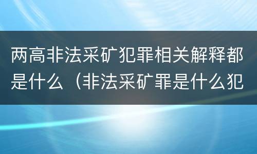 两高非法采矿犯罪相关解释都是什么（非法采矿罪是什么犯罪类型）