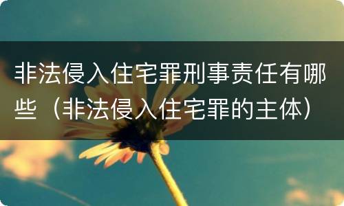 非法侵入住宅罪刑事责任有哪些（非法侵入住宅罪的主体）