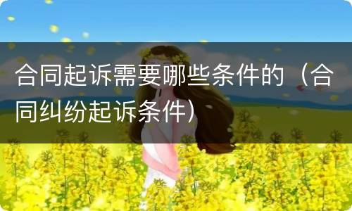 合同起诉需要哪些条件的（合同纠纷起诉条件）