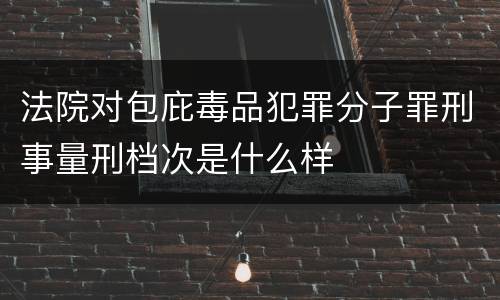 法院对包庇毒品犯罪分子罪刑事量刑档次是什么样