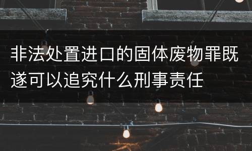 非法处置进口的固体废物罪既遂可以追究什么刑事责任