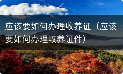 应该要如何办理收养证（应该要如何办理收养证件）