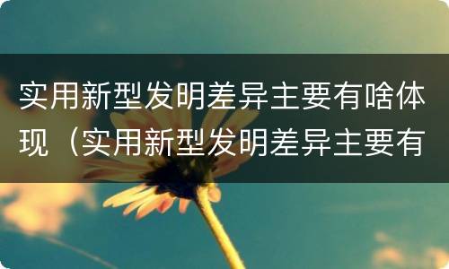 实用新型发明差异主要有啥体现（实用新型发明差异主要有啥体现）