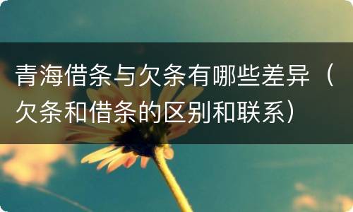 青海借条与欠条有哪些差异（欠条和借条的区别和联系）