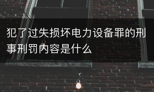 犯了过失损坏电力设备罪的刑事刑罚内容是什么