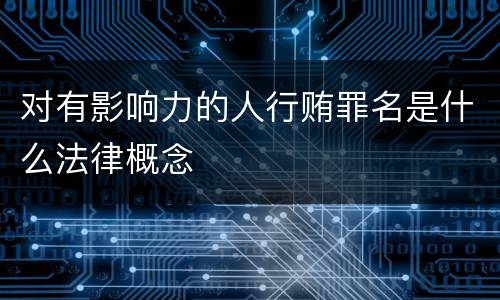 对有影响力的人行贿罪名是什么法律概念