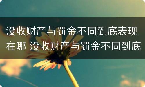 没收财产与罚金不同到底表现在哪 没收财产与罚金不同到底表现在哪些方面