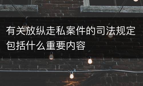 有关放纵走私案件的司法规定包括什么重要内容