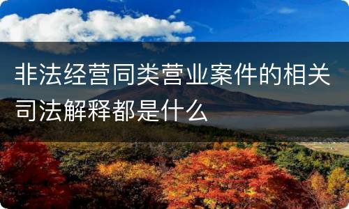 非法经营同类营业案件的相关司法解释都是什么