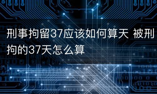 刑事拘留37应该如何算天 被刑拘的37天怎么算