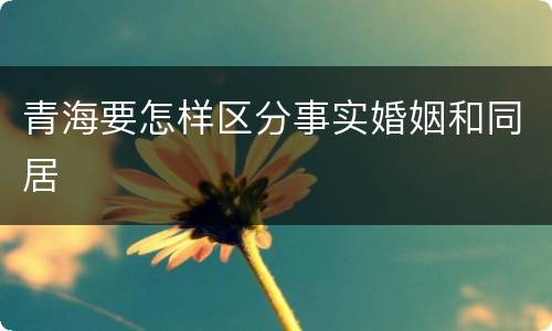 青海要怎样区分事实婚姻和同居