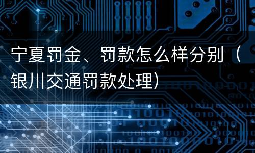 宁夏罚金、罚款怎么样分别（银川交通罚款处理）