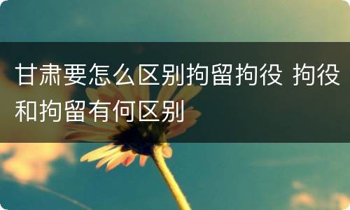 甘肃要怎么区别拘留拘役 拘役和拘留有何区别