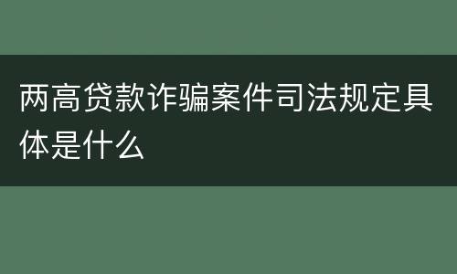 两高贷款诈骗案件司法规定具体是什么