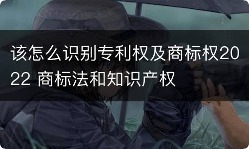 该怎么识别专利权及商标权2022 商标法和知识产权