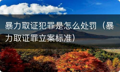 暴力取证犯罪是怎么处罚（暴力取证罪立案标准）