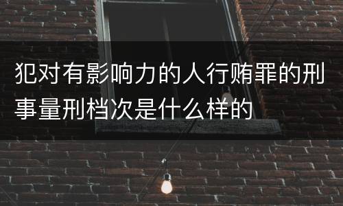 犯对有影响力的人行贿罪的刑事量刑档次是什么样的