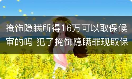 掩饰隐瞒所得16万可以取保候审的吗 犯了掩饰隐瞒罪现取保,能判多久