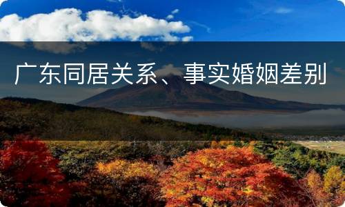 广东同居关系、事实婚姻差别