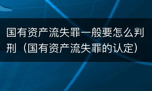 国有资产流失罪一般要怎么判刑（国有资产流失罪的认定）