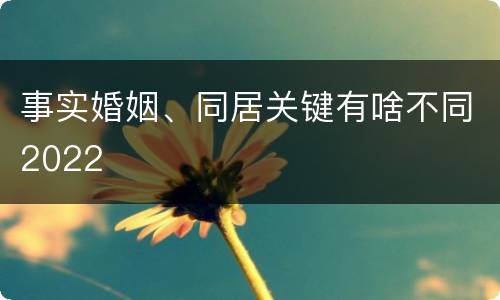 事实婚姻、同居关键有啥不同2022