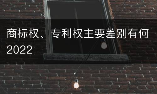 商标权、专利权主要差别有何2022