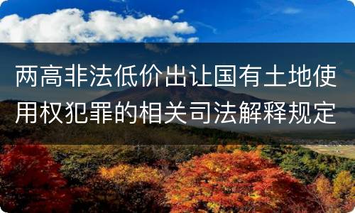 两高非法低价出让国有土地使用权犯罪的相关司法解释规定是什么