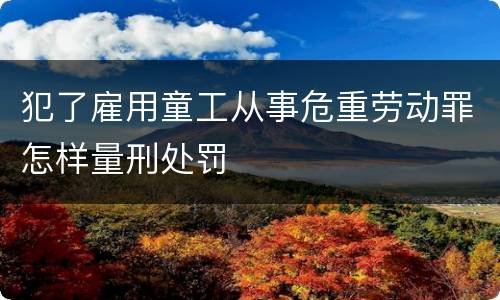 犯了雇用童工从事危重劳动罪怎样量刑处罚