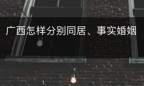 广西怎样分别同居、事实婚姻