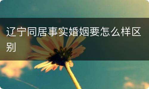 辽宁同居事实婚姻要怎么样区别