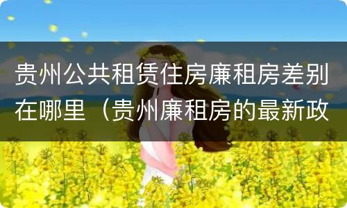 贵州公共租赁住房廉租房差别在哪里(贵州廉租房的最新政策)