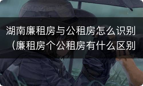 湖南廉租房与公租房怎么识别（廉租房个公租房有什么区别）