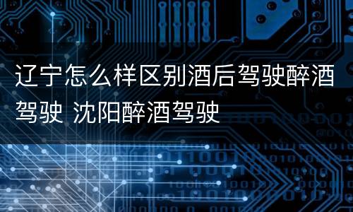 辽宁怎么样区别酒后驾驶醉酒驾驶 沈阳醉酒驾驶