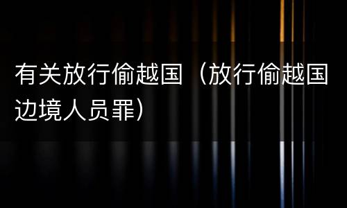 有关放行偷越国（放行偷越国边境人员罪）