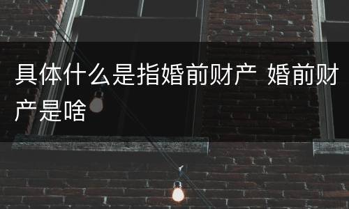 具体什么是指婚前财产 婚前财产是啥