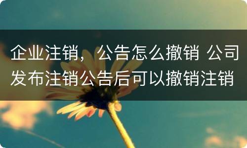 企业注销，公告怎么撤销 公司发布注销公告后可以撤销注销吗