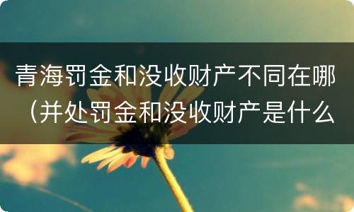 青海罚金和没收财产不同在哪（并处罚金和没收财产是什么意思）