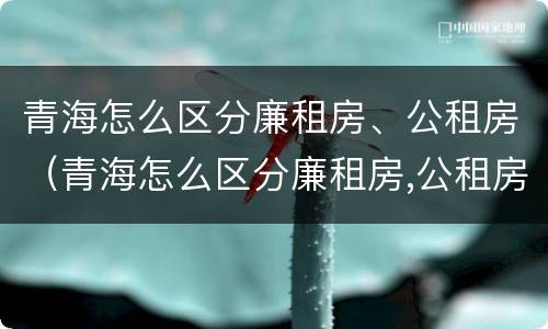 青海怎么区分廉租房、公租房（青海怎么区分廉租房,公租房呢）