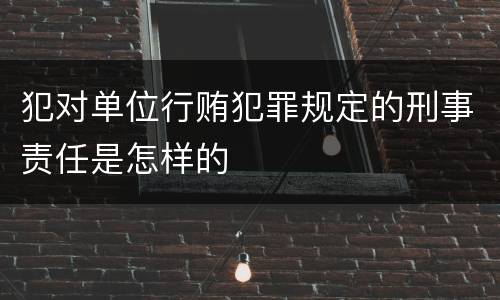 犯对单位行贿犯罪规定的刑事责任是怎样的