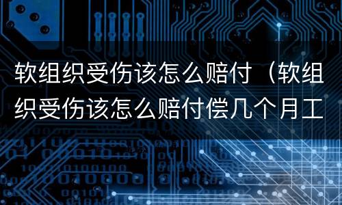 软组织受伤该怎么赔付（软组织受伤该怎么赔付偿几个月工资）