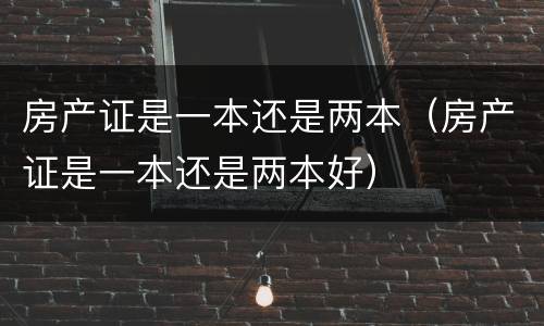 房产证是一本还是两本（房产证是一本还是两本好）