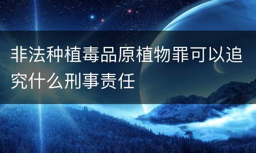 非法种植毒品原植物罪可以追究什么刑事责任