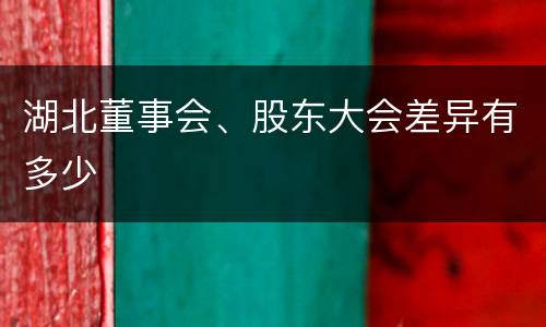 湖北董事会、股东大会差异有多少