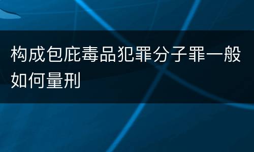 构成包庇毒品犯罪分子罪一般如何量刑