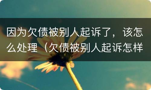 因为欠债被别人起诉了，该怎么处理（欠债被别人起诉怎样处理）