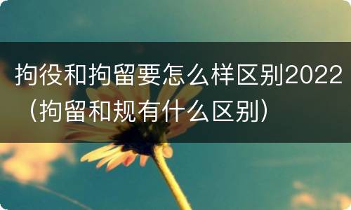 拘役和拘留要怎么样区别2022（拘留和规有什么区别）