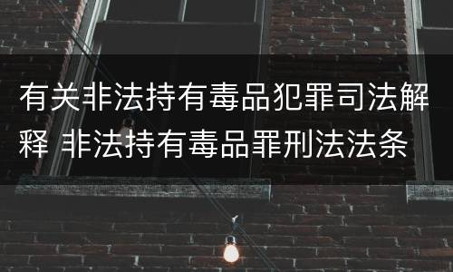 有关非法持有毒品犯罪司法解释 非法持有毒品罪刑法法条