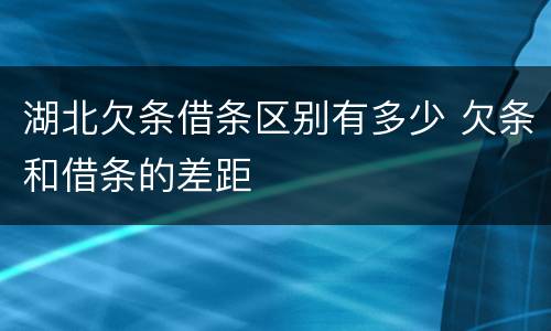 湖北欠条借条区别有多少 欠条和借条的差距