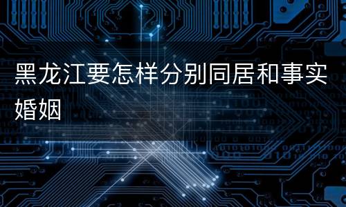 黑龙江要怎样分别同居和事实婚姻